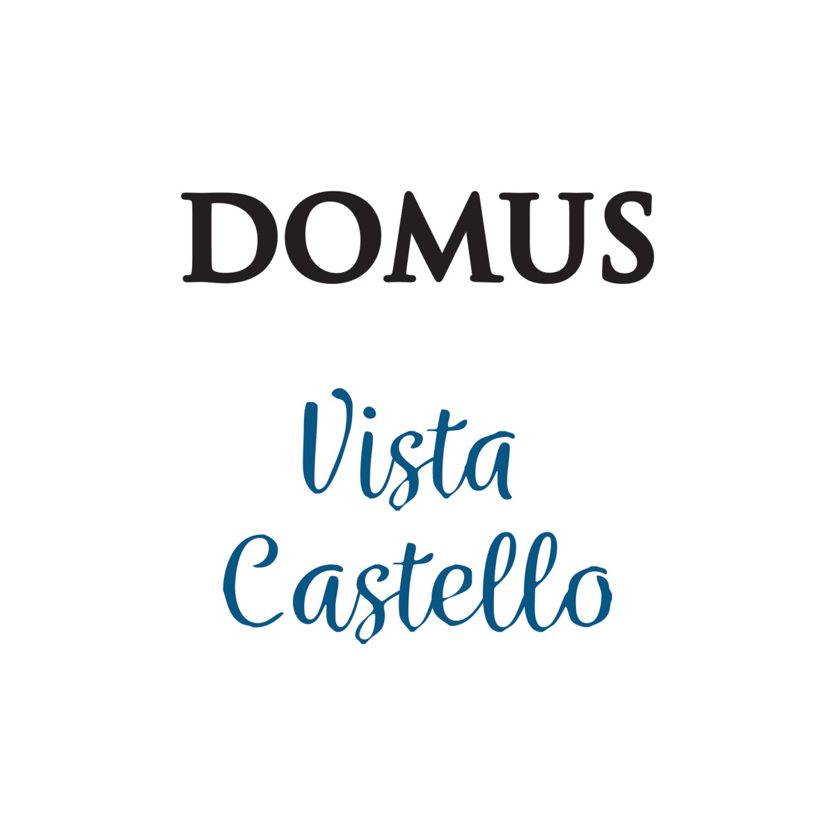 Logo_Domus-Vista-Castello_bigger Logo_Domus-Vista-Castello_bigger